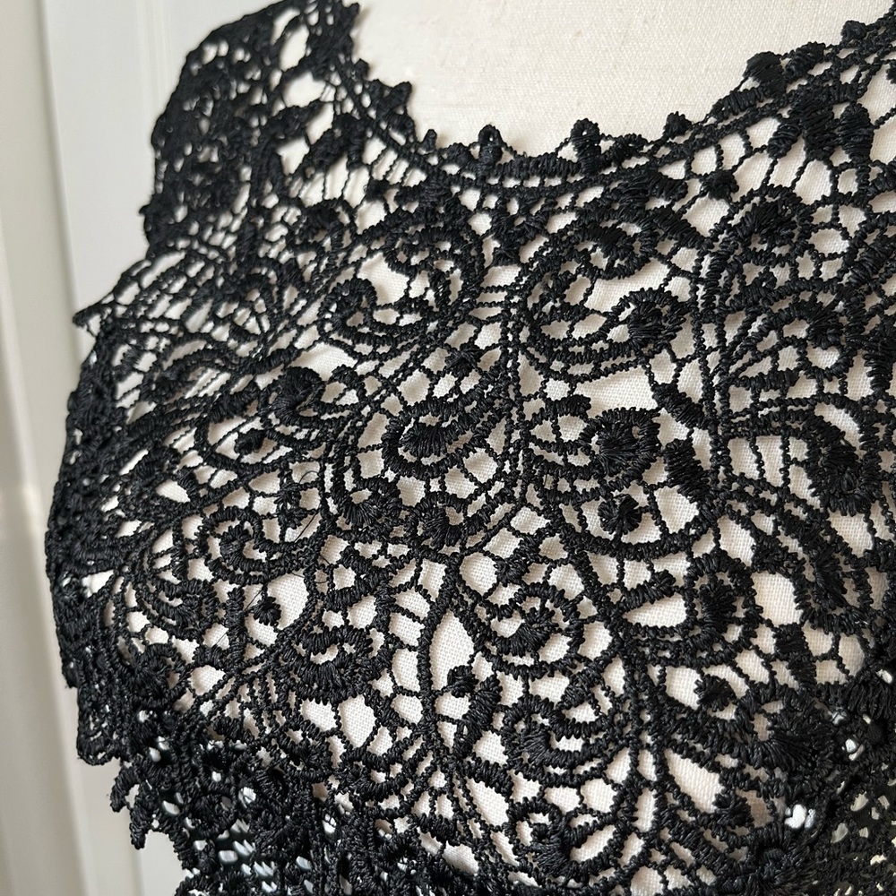 Black and White Pelpum Embroidered Lace Top - Picture 3 of 10